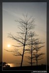 IMG_9895