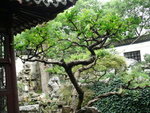 P1000940