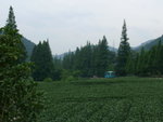 P1010068
