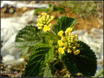 DSC00191