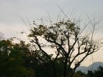 DSCN2569(001)
