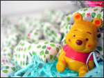 DSCN2119