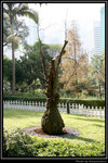 HKPark03_BP