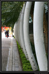 HKPark06_BP