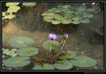 HKPark07_BL
