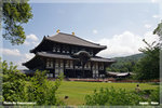 japan_nara04_TL