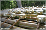 japan_nara07_TL