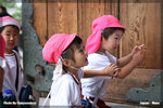 japan_nara08_TL