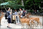 japan_nara09_TL