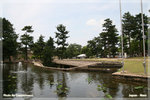 japan_nara10_TL