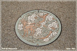 japan_nara11_TL