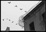 victoriaprison01_BL_BW