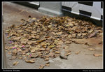 victoriaprison05_BL