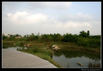wetland10_BL