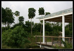 wetland11_BL