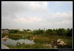 wetland13_BL