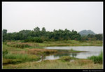 wetland14_BL