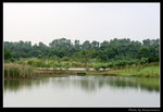 wetland17_BL