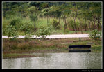 wetland22_BL