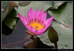 wetland25_BL