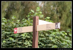 wetland32_BL