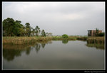 wetland35_BL