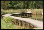 wetland36_BL