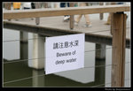wetland38_BL