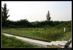 wetland39_BL