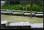 wetland46_BL