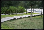 wetland47_BL