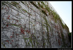 wetland4_BL