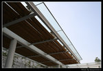 wetland5_BL