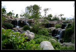 wetland7_BL