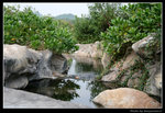 wetland8_BL