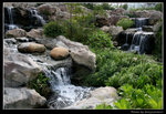 wetland9_BL
