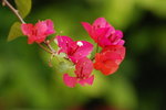 DSC_1567_resize