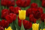 DSC_1580_resize