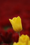 DSC_1590_resize