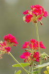 DSC_1648_resize