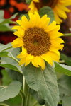 DSC_1658_resize