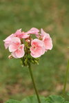DSC_1664_resize