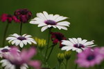 DSC_1672_resize