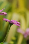 DSC_1692_resize