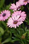 DSC_1783_resize