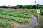 DSC_5881_exposure_resize