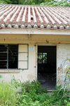 DSC_5892_exposure_resize