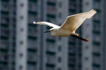 DSC_5414_resize