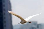 DSC_5420_resize