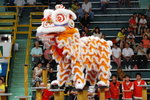 DSC_0088_resize